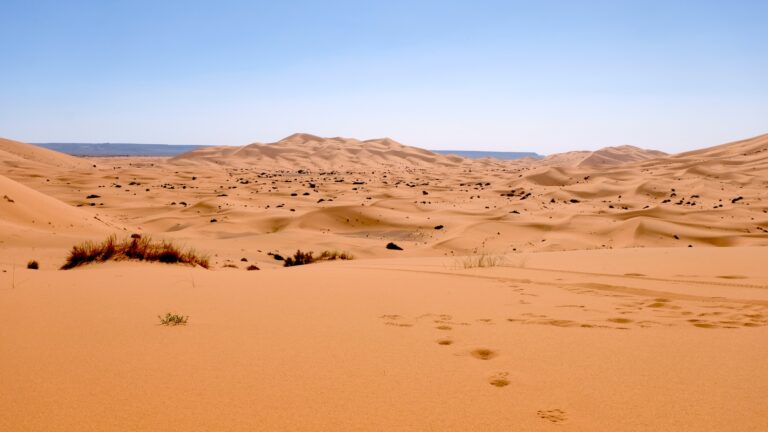 Playa marruecos